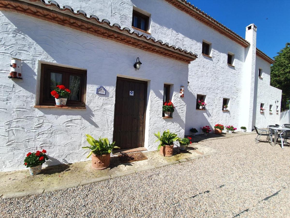 La Luna Del Sur B&B Alfacar Eksteriør billede